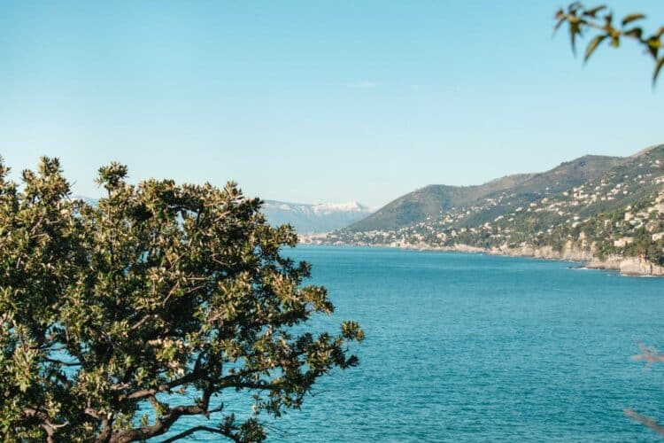 Camogli- Panoramica villa